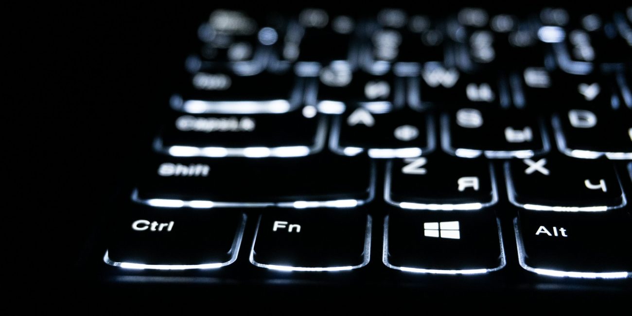 What is the meaning of electronic fraud