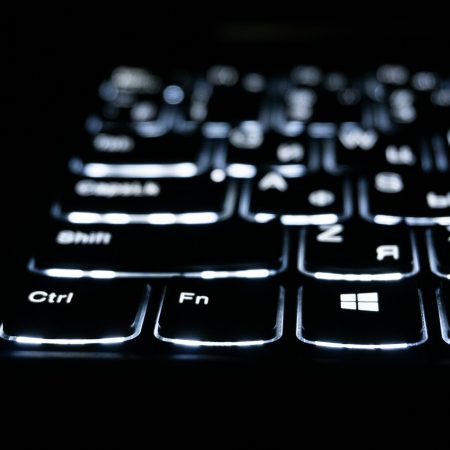 What is the meaning of electronic fraud