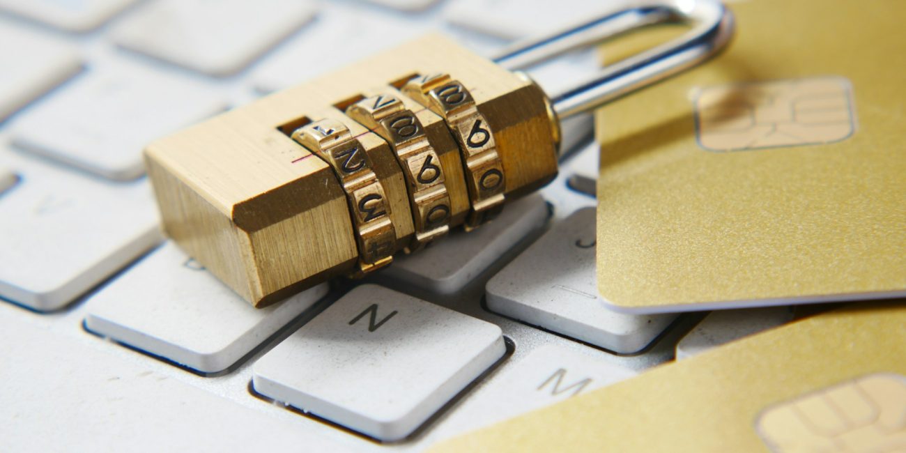 What is an example of electronic fraud