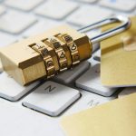 What is an example of electronic fraud