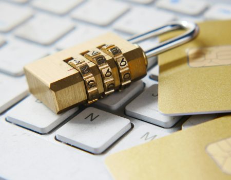 What is an example of electronic fraud