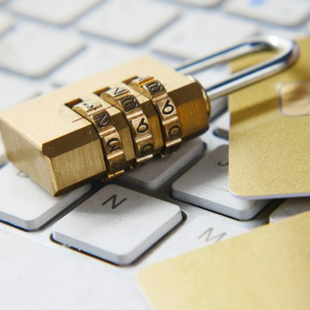 What is an example of electronic fraud