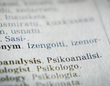 What is the definition of academic fraud