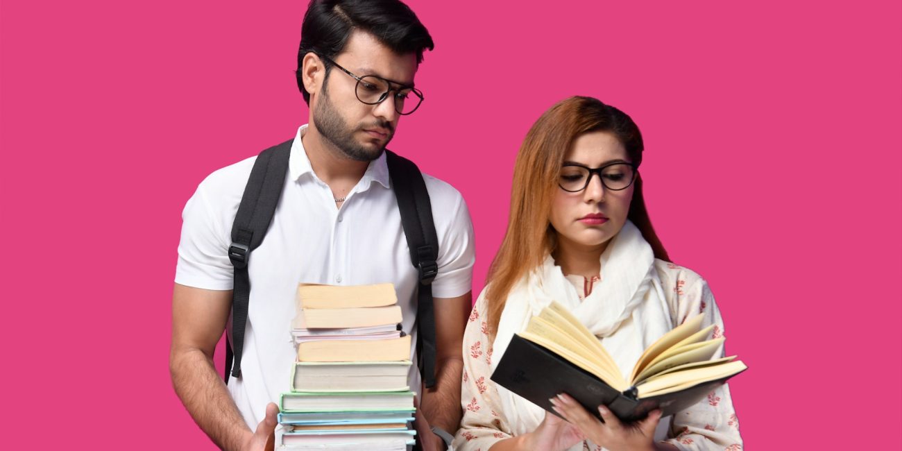 What is the meaning of education fraud