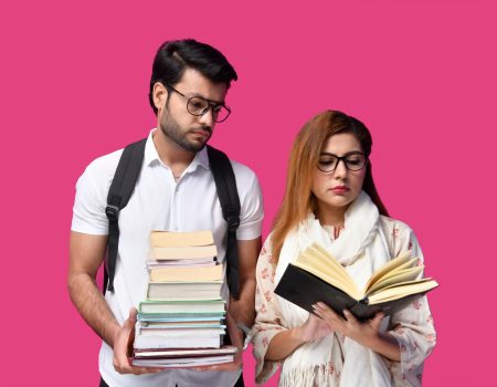What is the meaning of education fraud