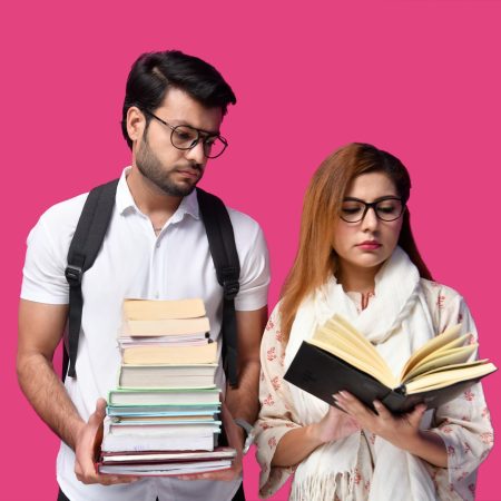 What is the meaning of education fraud