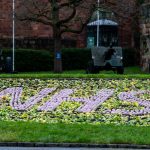 What education do you need to be a nurse in the UK